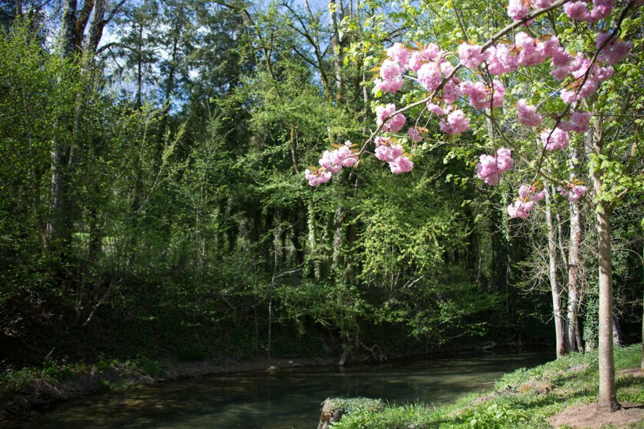Gîte Moulin de la Serrée Nuits-Saint-Georges Esterno foto