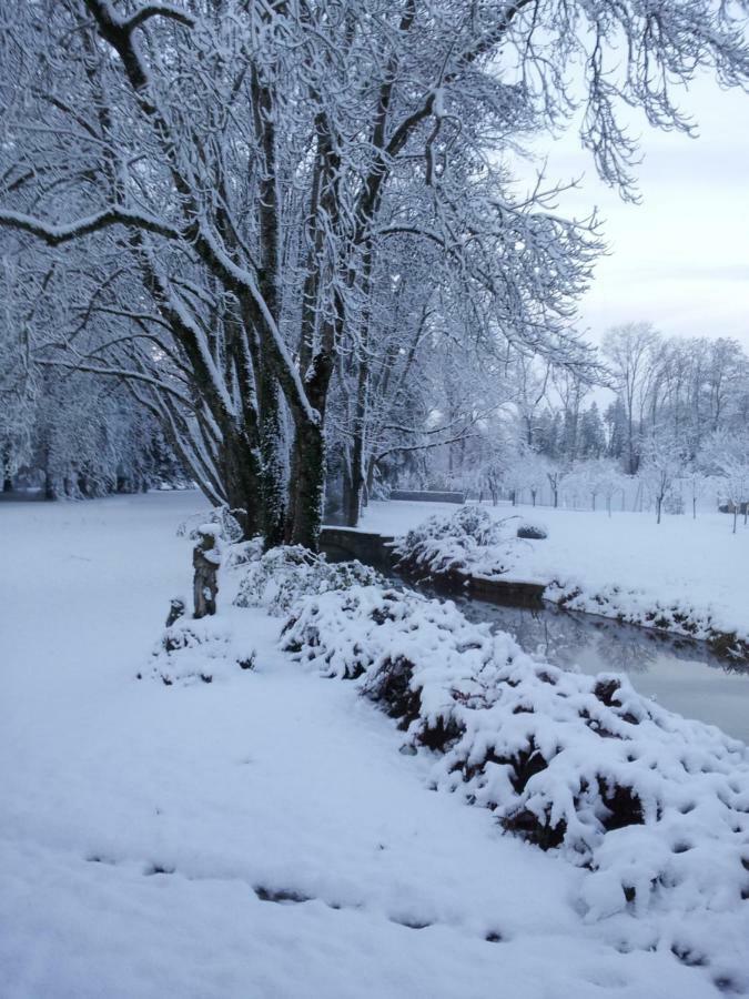 Gîte Moulin de la Serrée Nuits-Saint-Georges Esterno foto