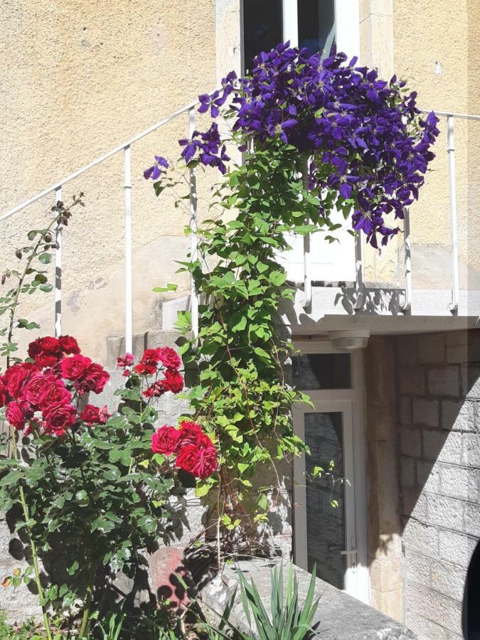 Gîte Moulin de la Serrée Nuits-Saint-Georges Esterno foto